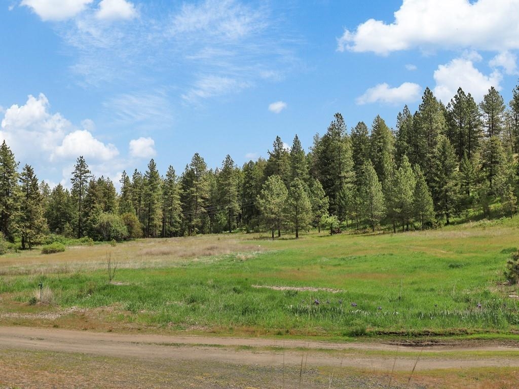 9215 S Cheney Spokane Rd - Photo 3