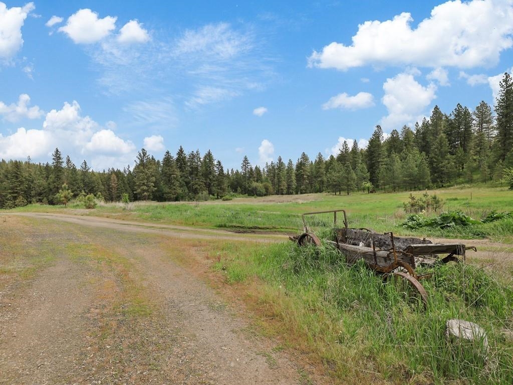 9215 S Cheney Spokane Rd - Photo 4