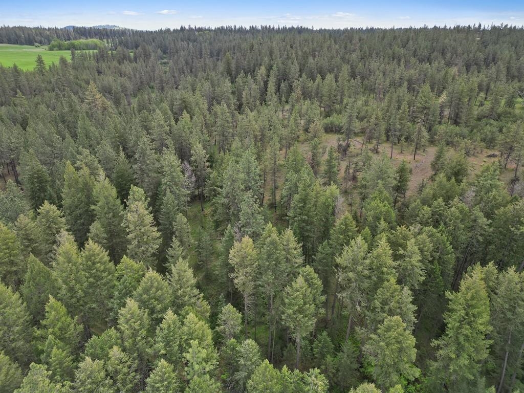 9215 S Cheney Spokane Rd - Photo 32