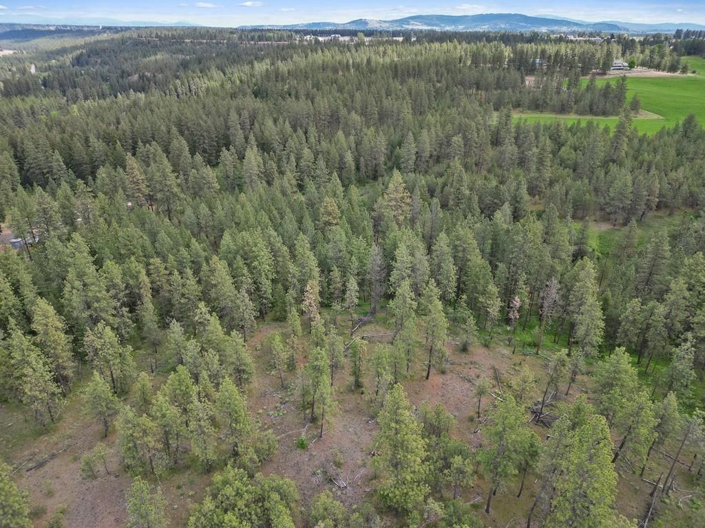 9215 S Cheney Spokane Rd - Photo 33