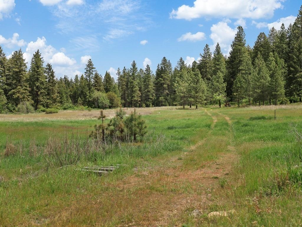 9215 S Cheney Spokane Rd - Photo 6
