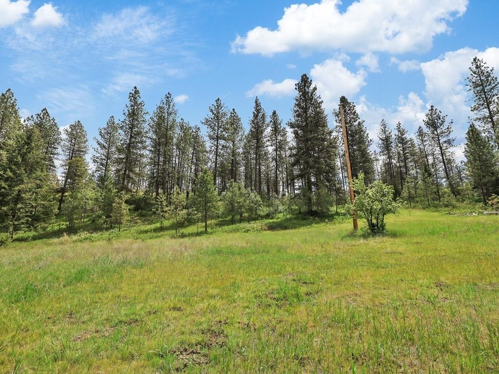 9215 S Cheney Spokane Rd - Photo 8