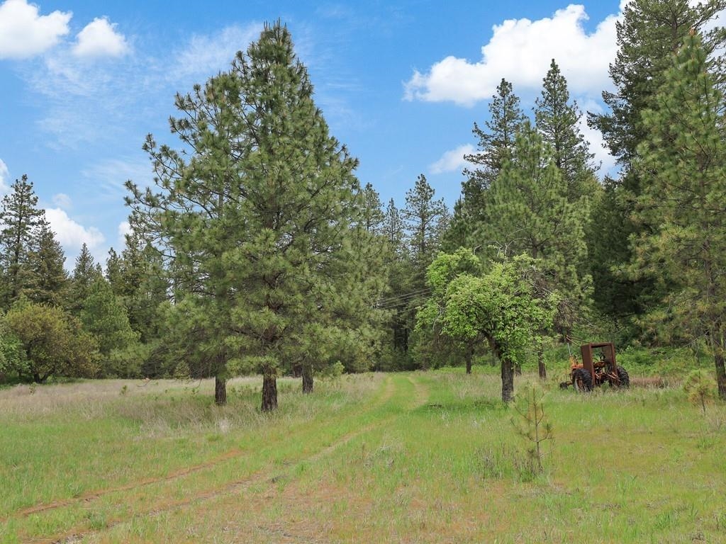 9215 S Cheney Spokane Rd - Photo 9