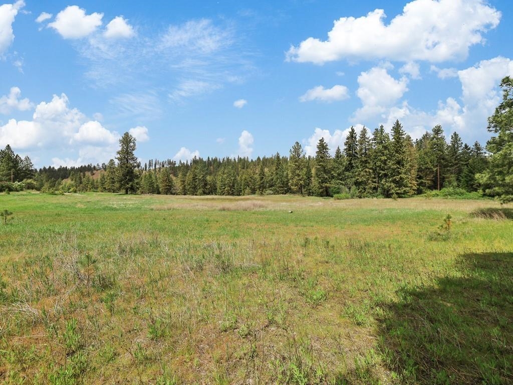 9215 S Cheney Spokane Rd - Photo 10