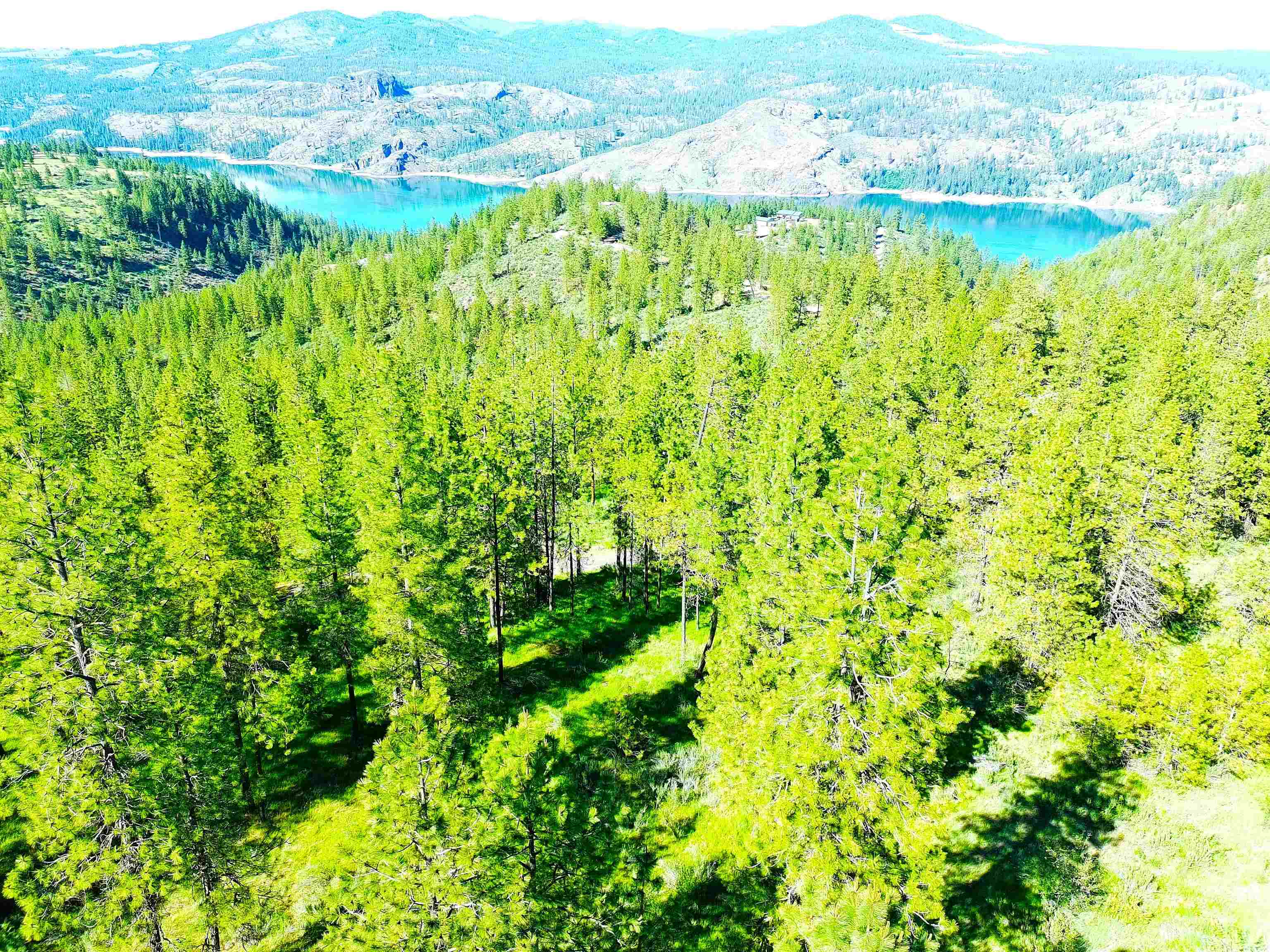 XX00 Timber Bay Dr - Photo 11