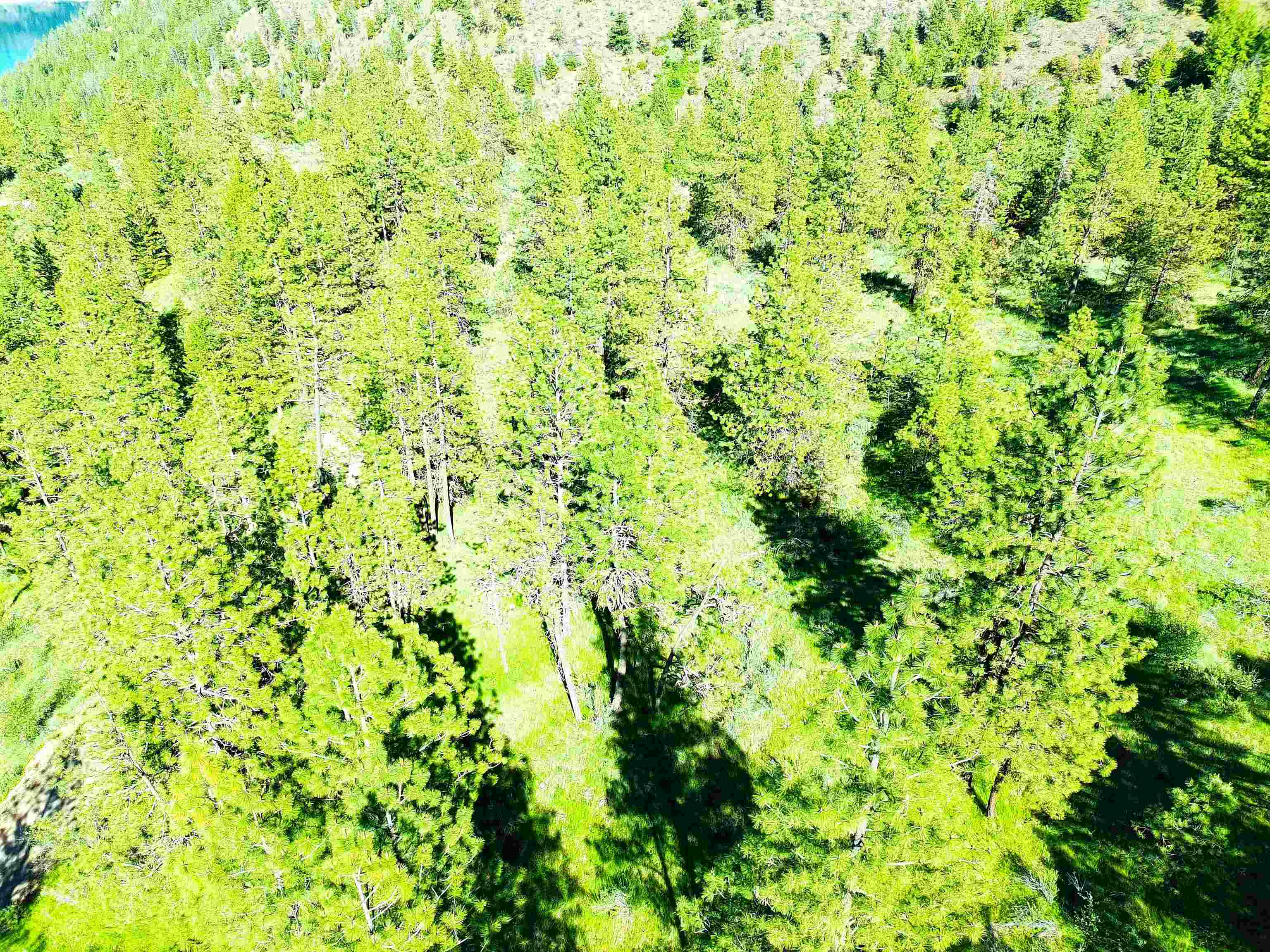 XX00 Timber Bay Dr - Photo 12