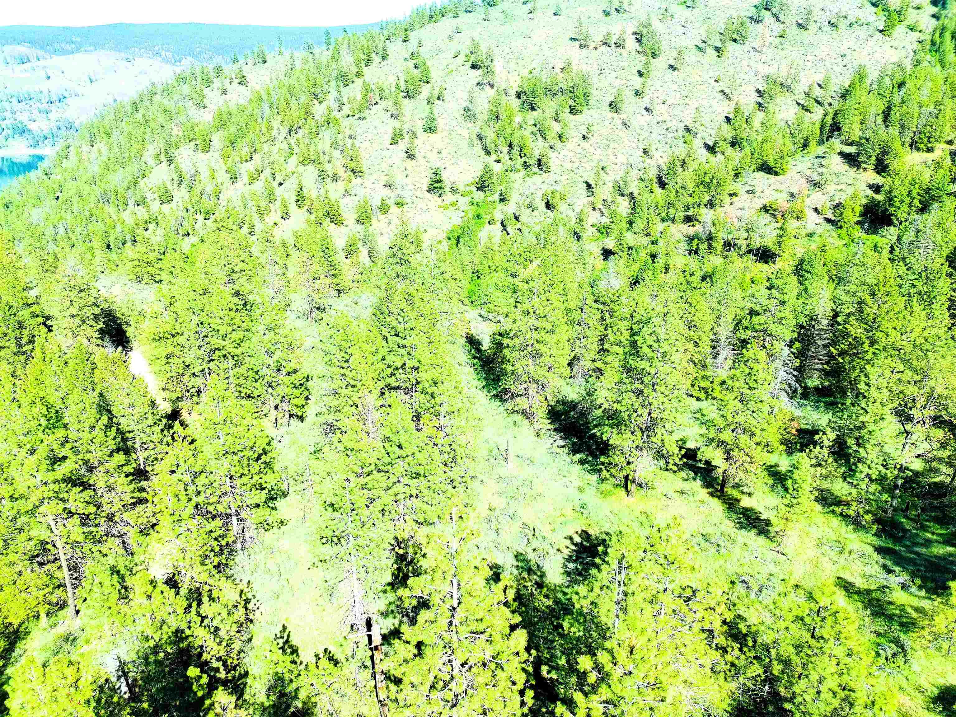 XX00 Timber Bay Dr - Photo 13