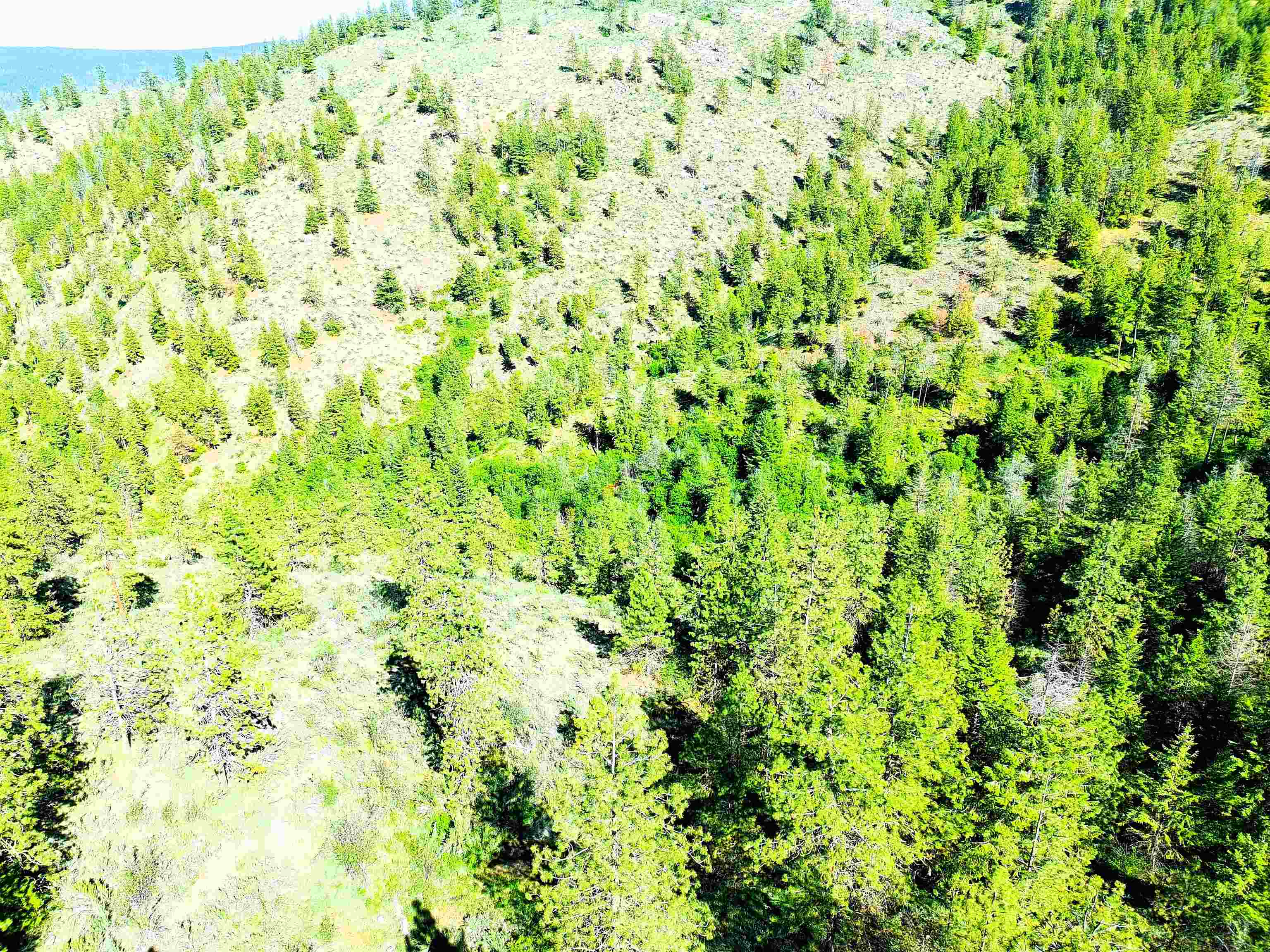 XX00 Timber Bay Dr - Photo 16