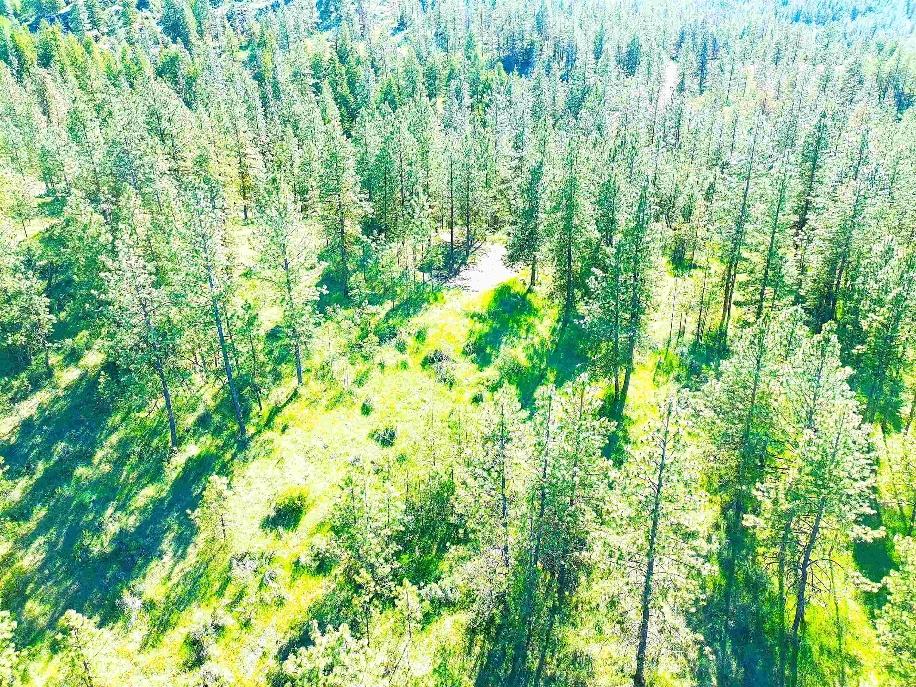 XX00 Timber Bay Dr - Photo 17