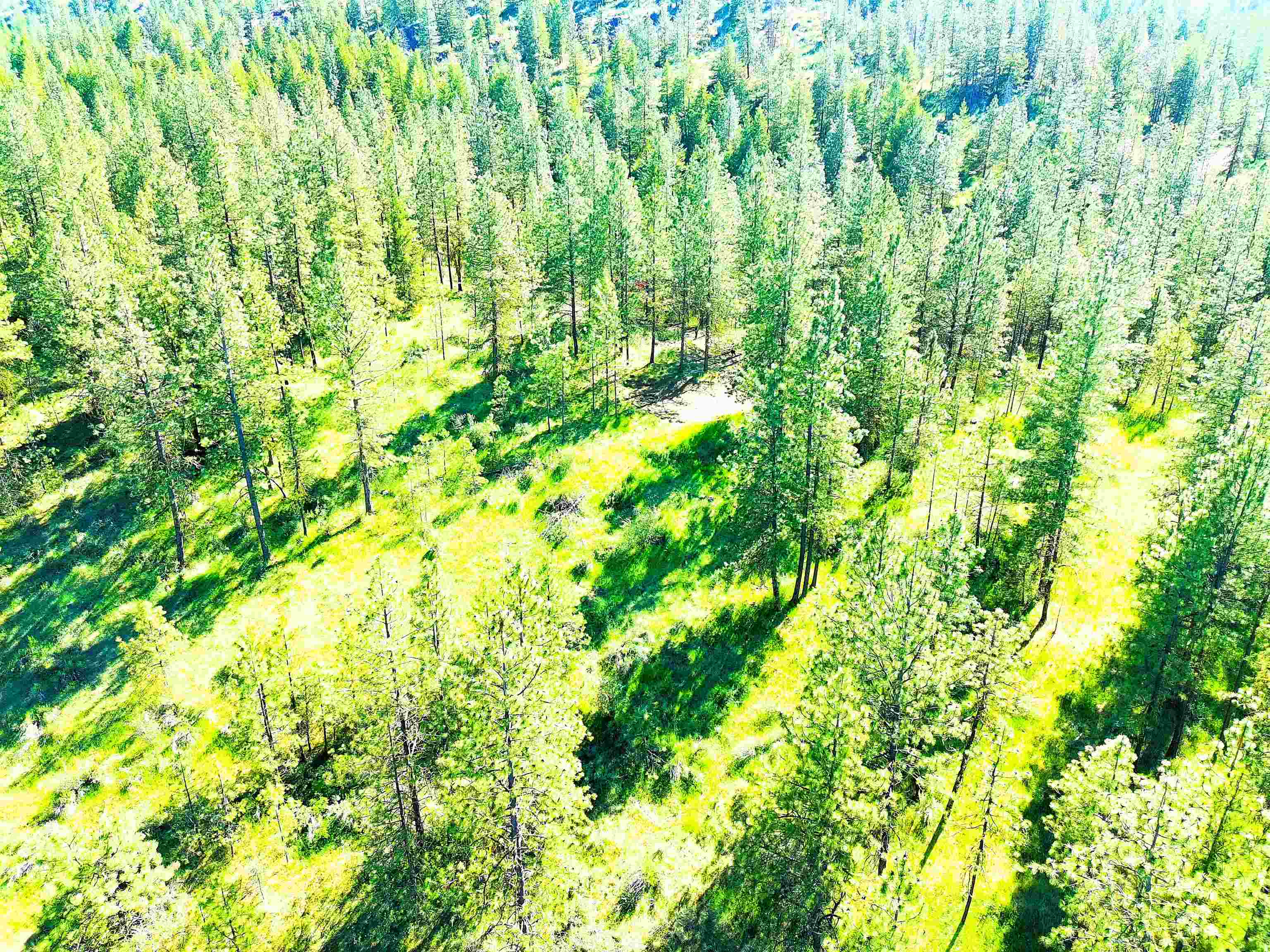 XX00 Timber Bay Dr - Photo 18