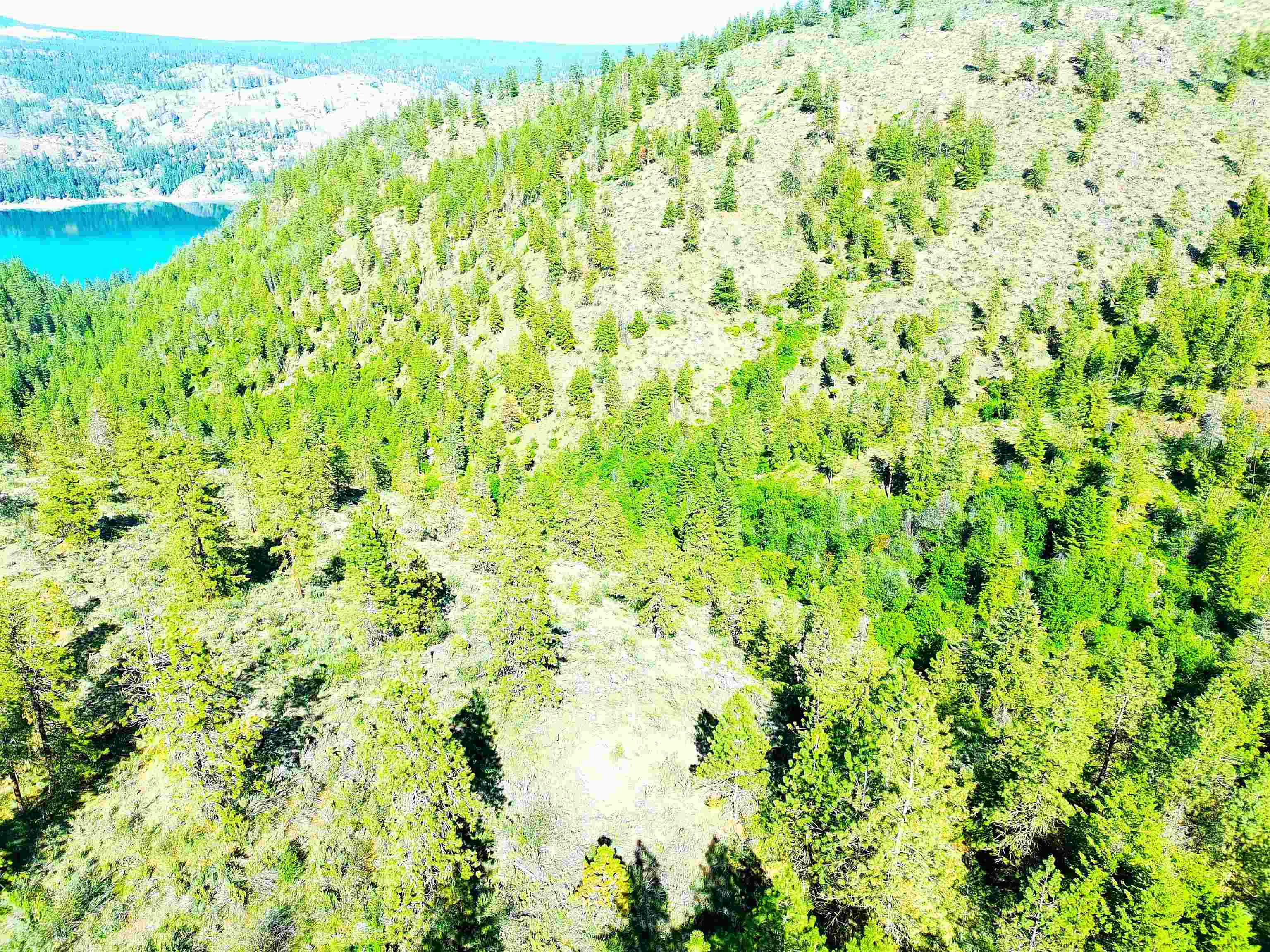 XX00 Timber Bay Dr - Photo 19