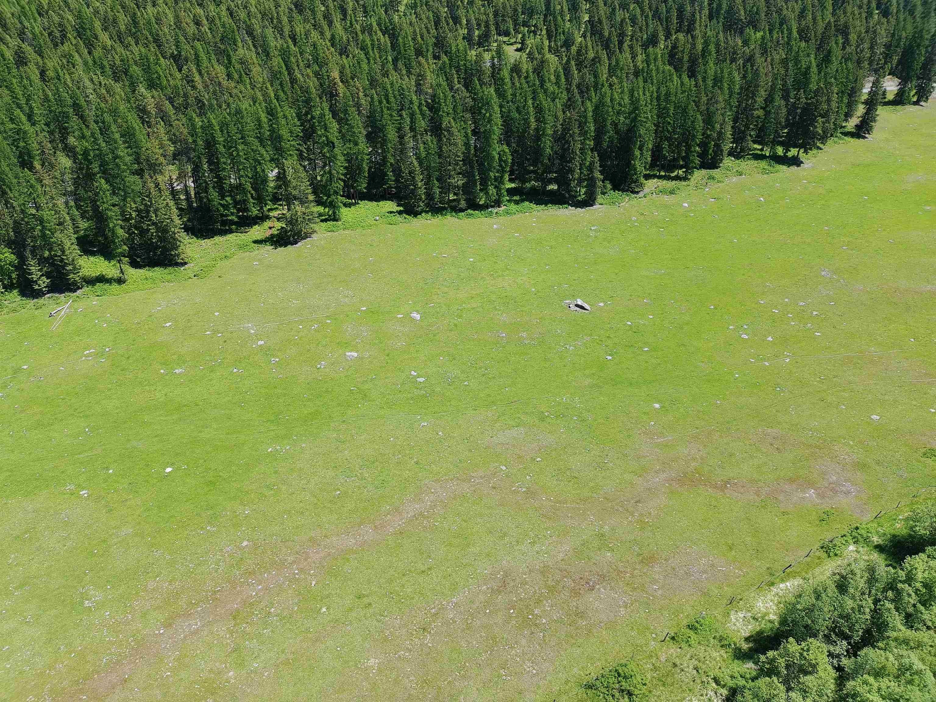 22XX Hawks Rd - Photo 12