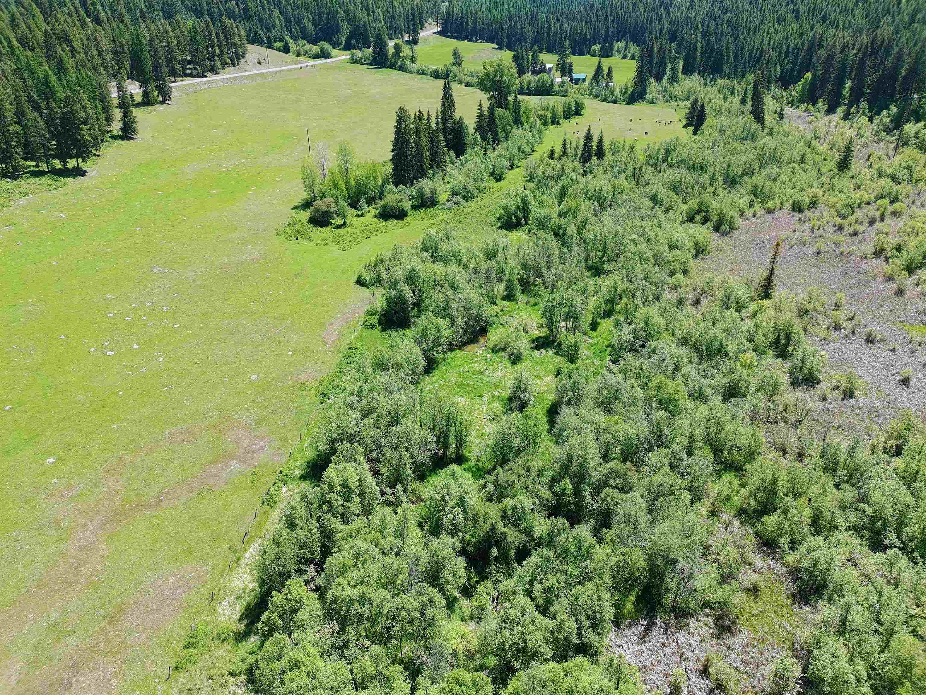 22XX Hawks Rd - Photo 4