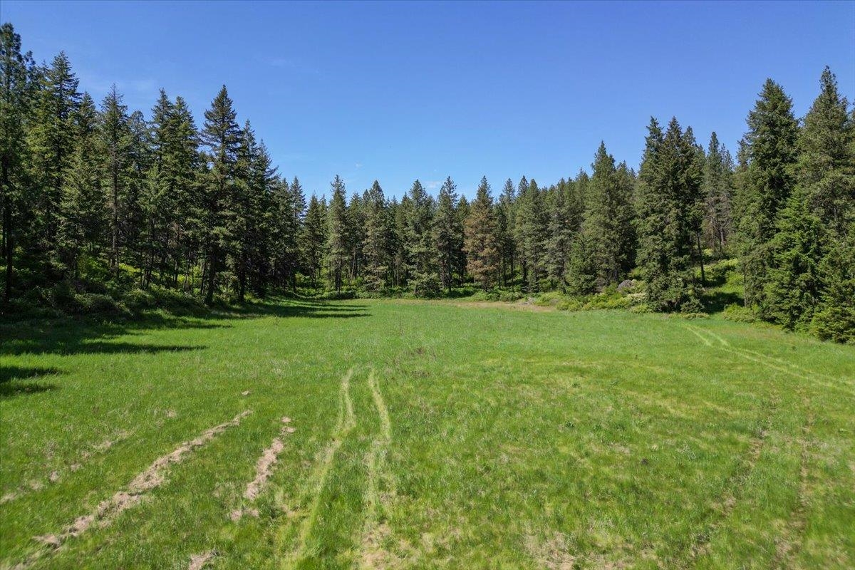 17323 N Lower Greenbluff Rd - Photo 42