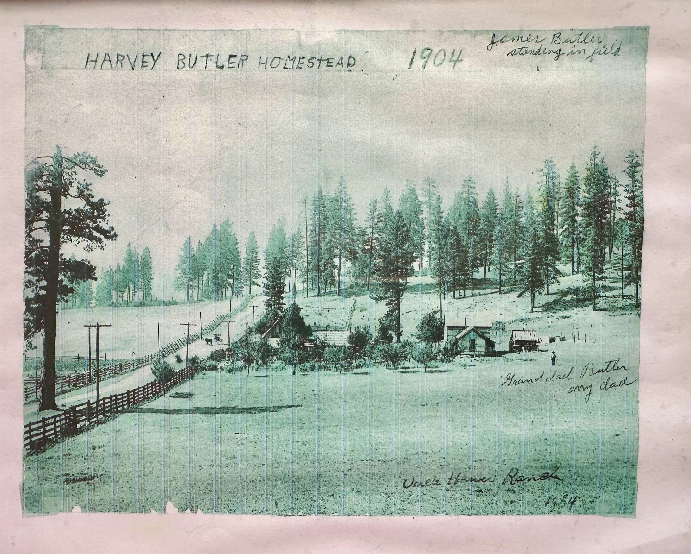 1643 Highway 395 S - Photo 3