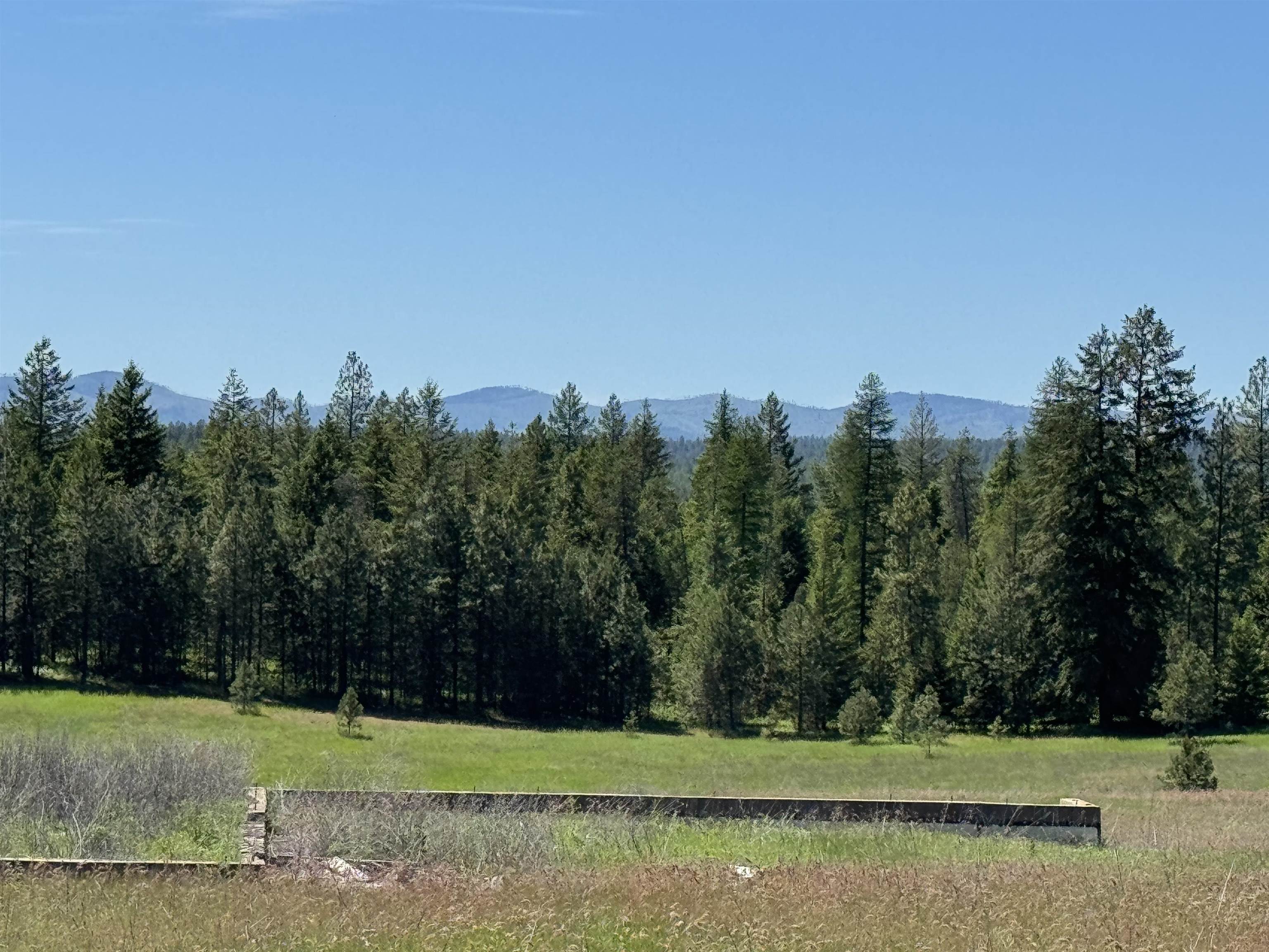 4091 Jepsen Rd - Photo 3