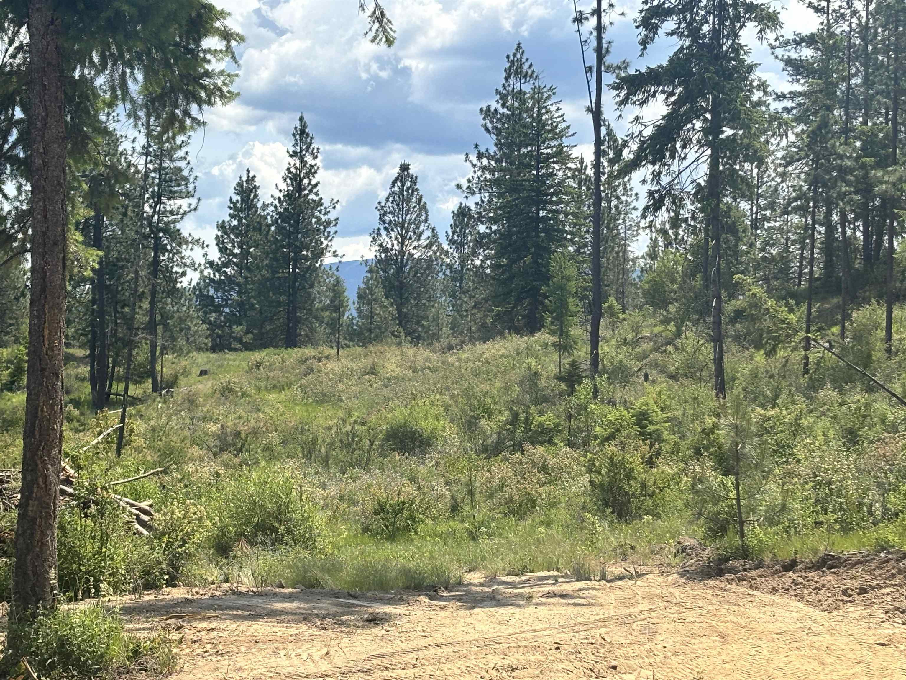 Unknown Address E Lodgepole Ln - Photo 17