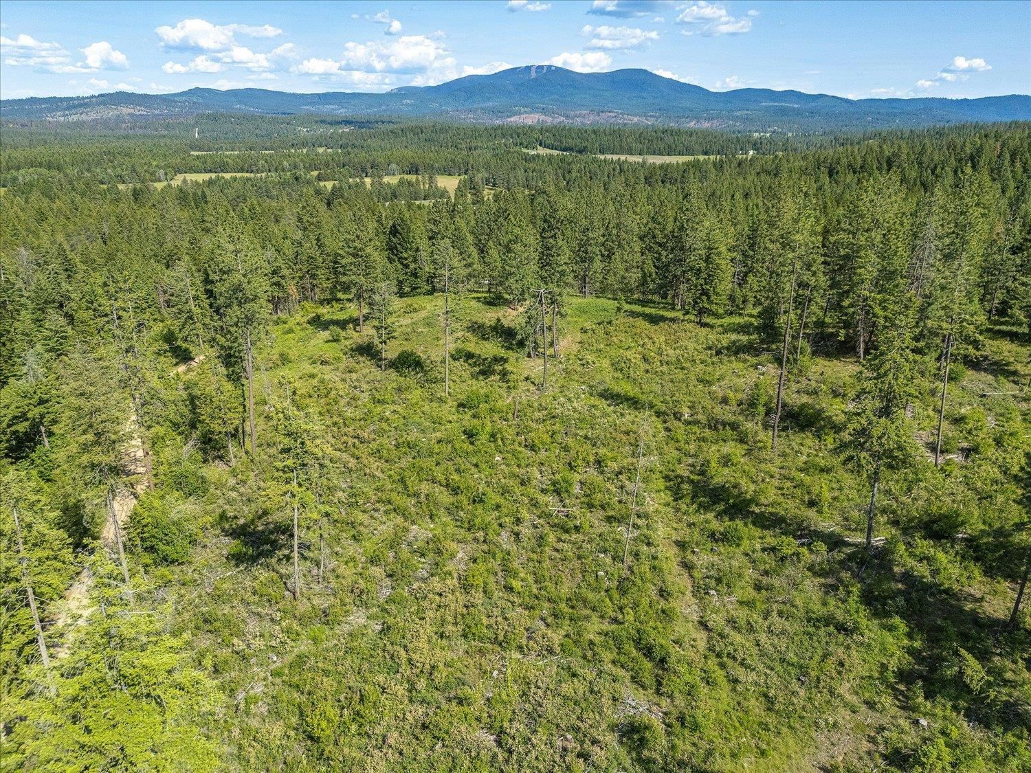 Unknown Address E Lodgepole Ln - Photo 28