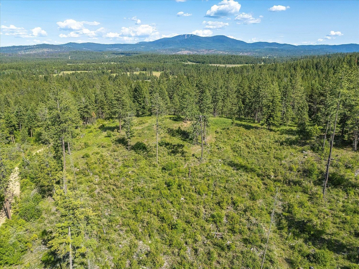 Unknown Address E Lodgepole Ln - Photo 29