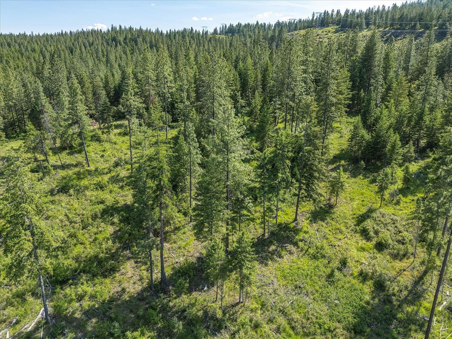 Unknown Address E Lodgepole Ln - Photo 30