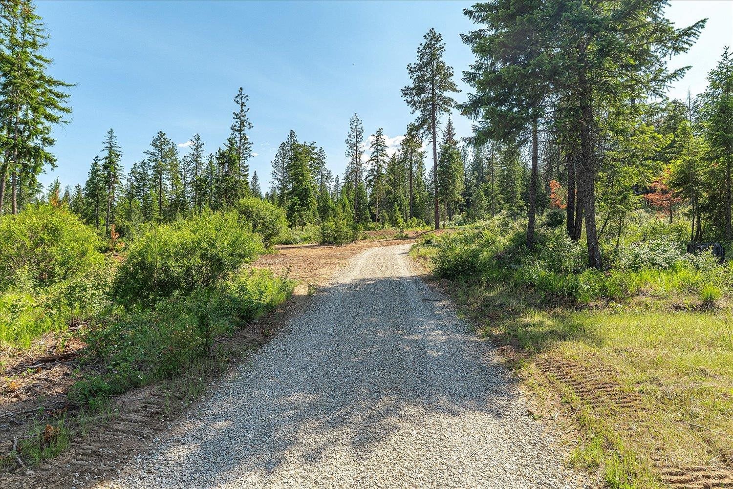 Unknown Address E Lodgepole Ln - Photo 6