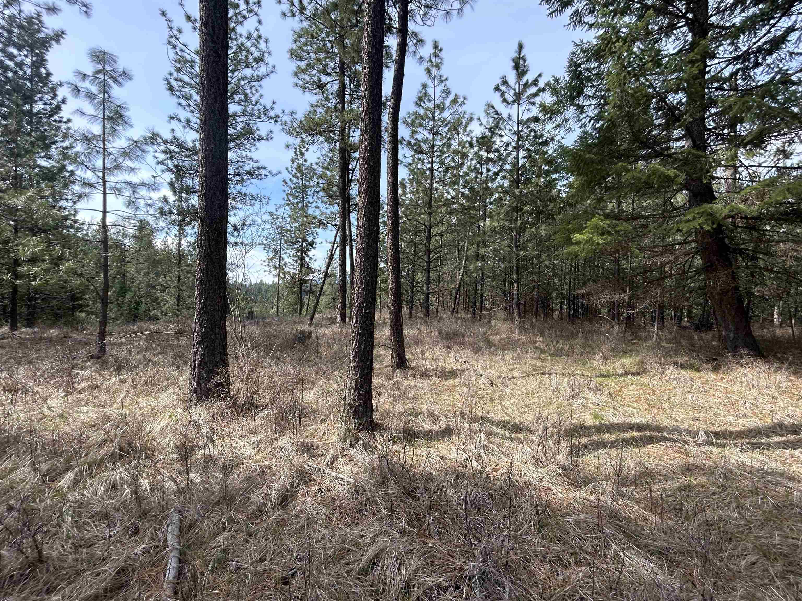5491 Sailor Rd - Photo 21
