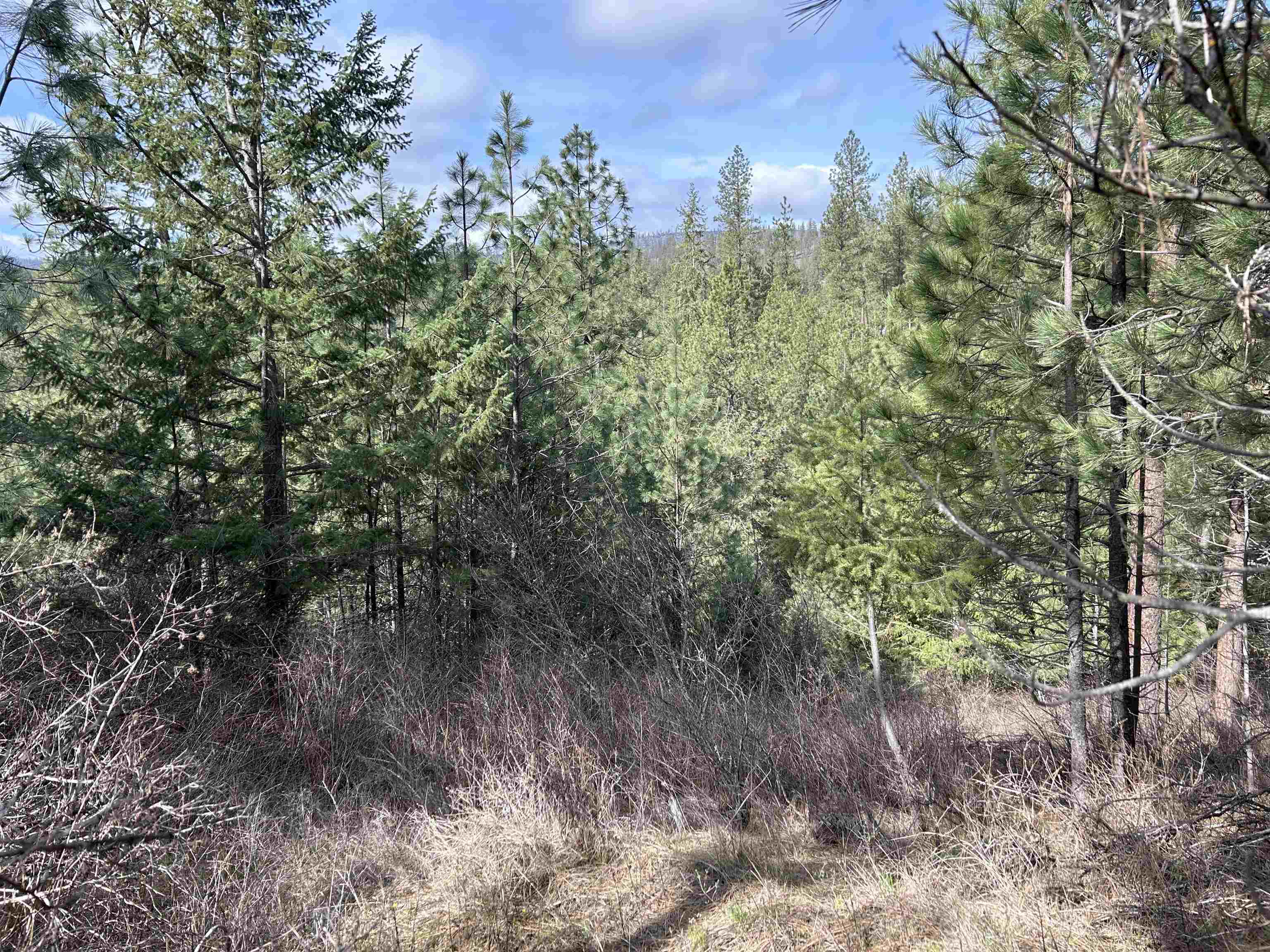 5491 Sailor Rd - Photo 23