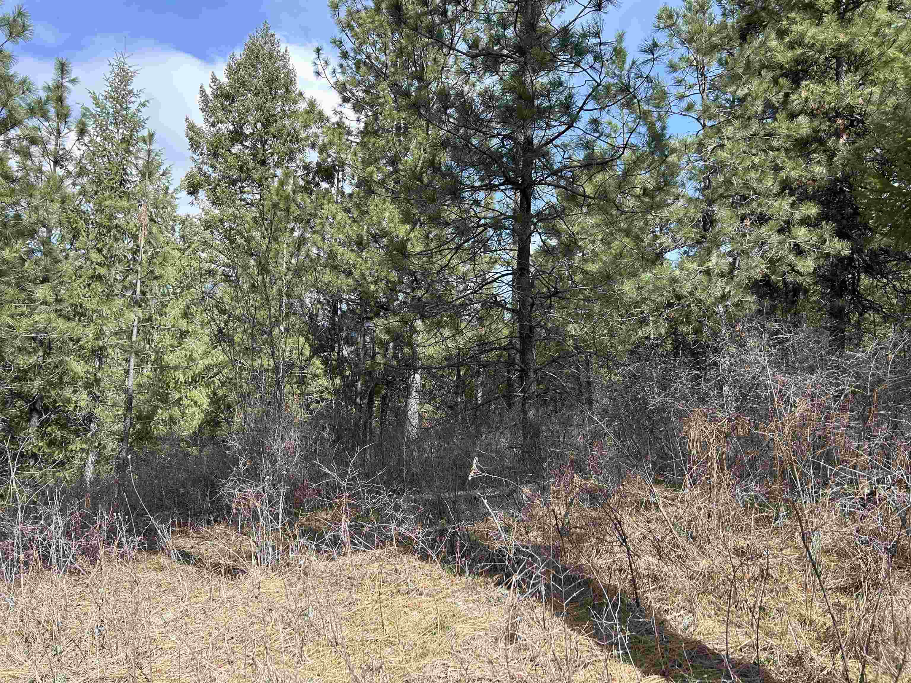 5491 Sailor Rd - Photo 25