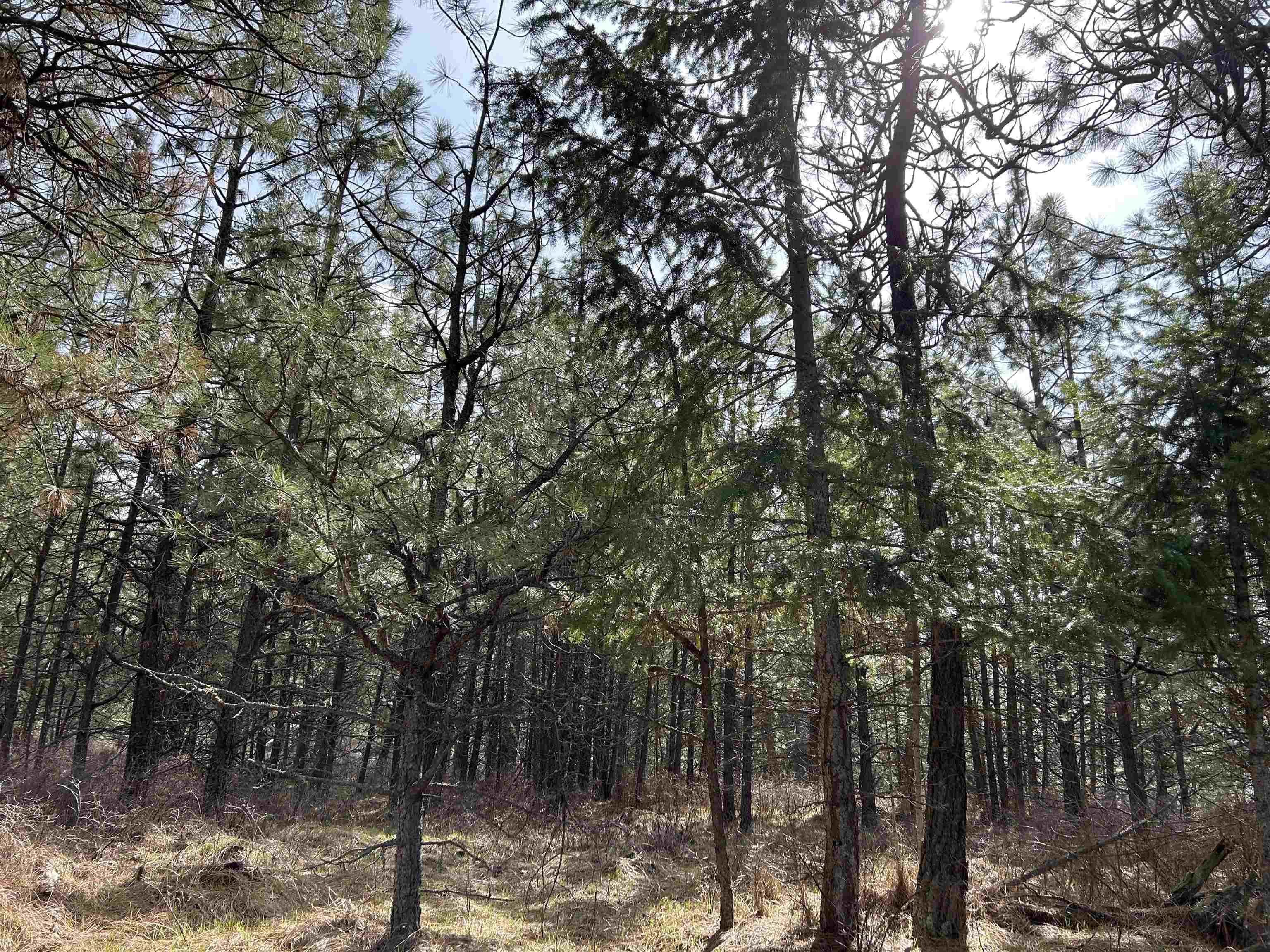5491 Sailor Rd - Photo 26