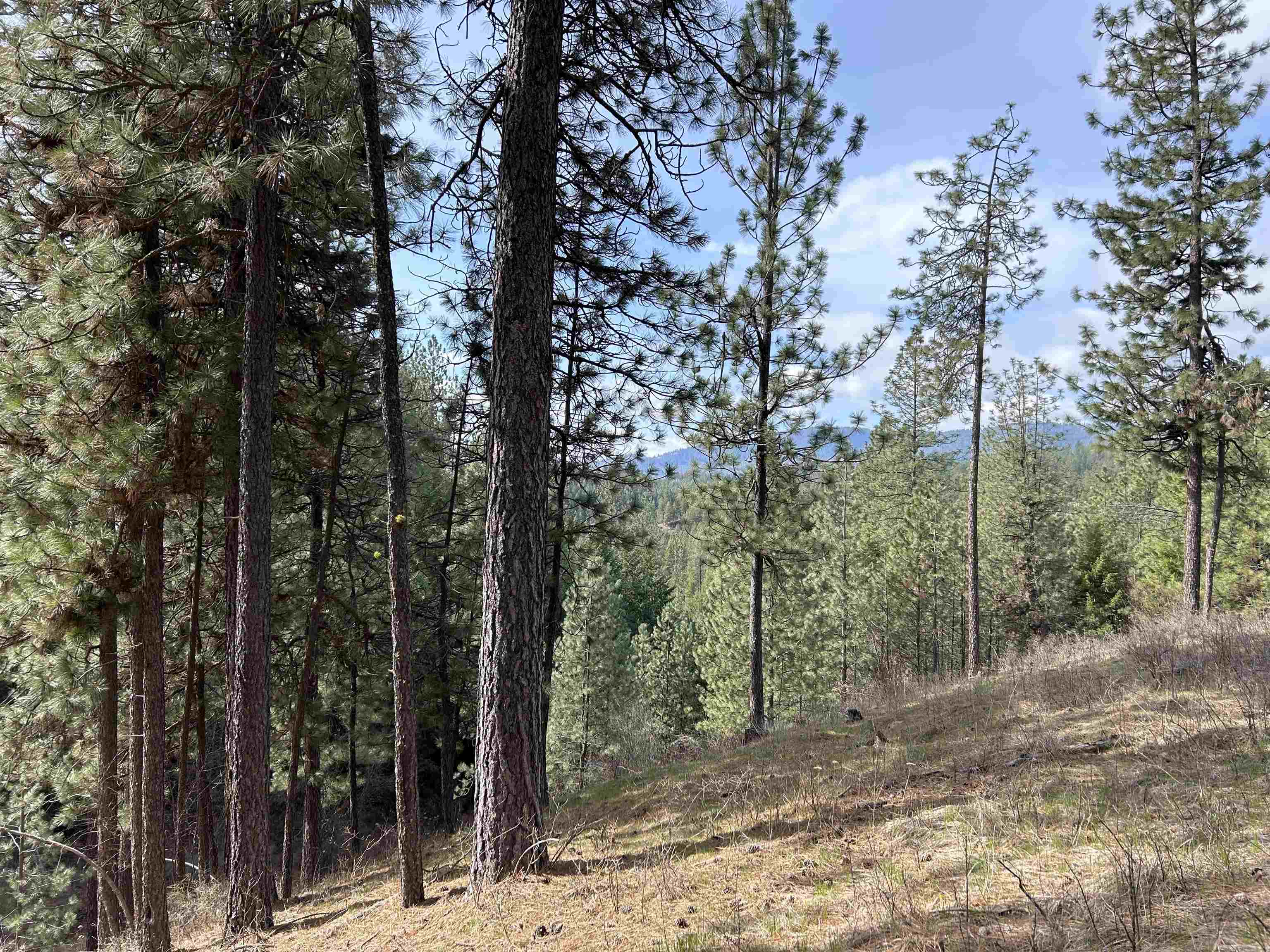 5491 Sailor Rd - Photo 27