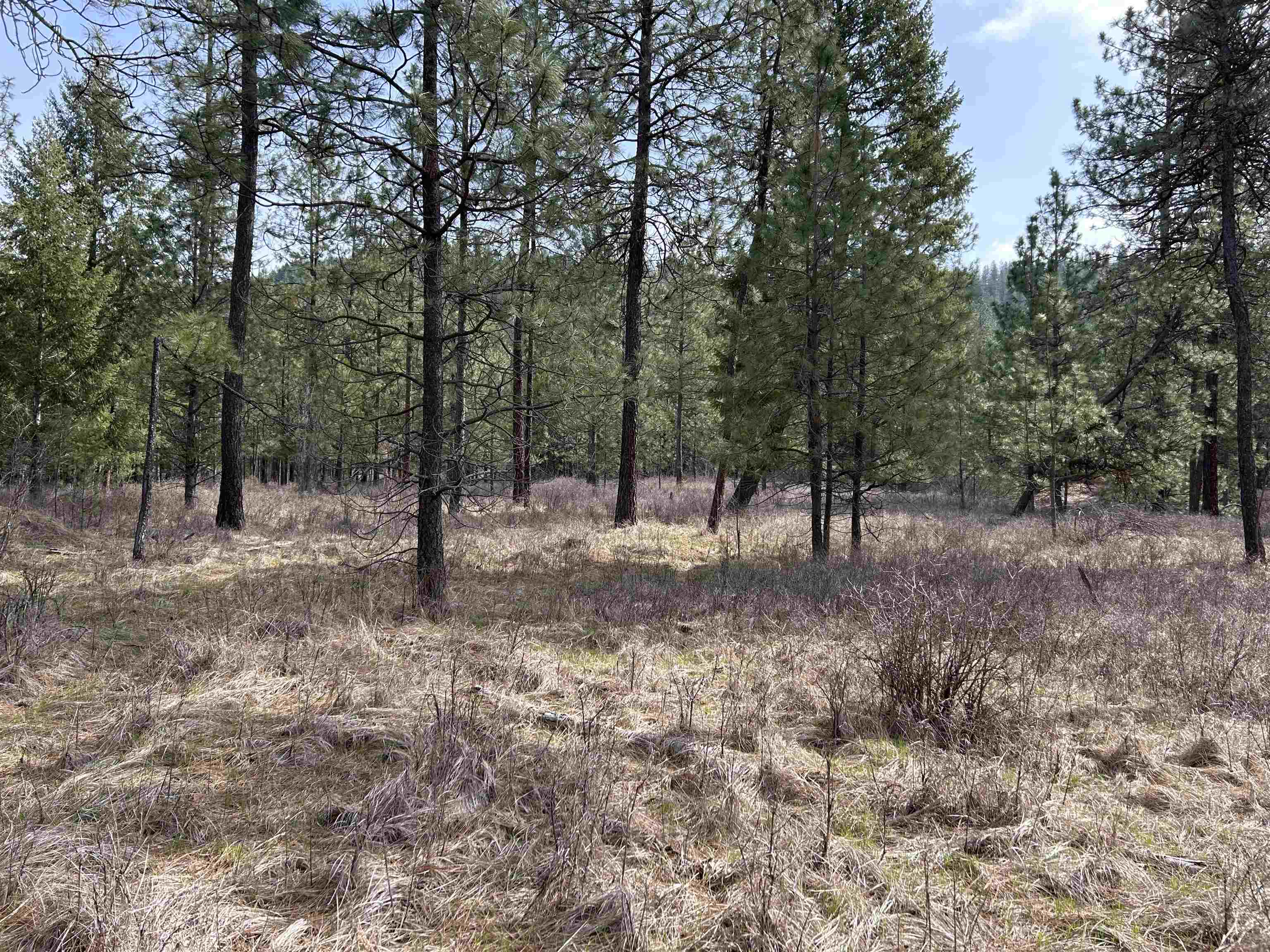 5491 Sailor Rd - Photo 28