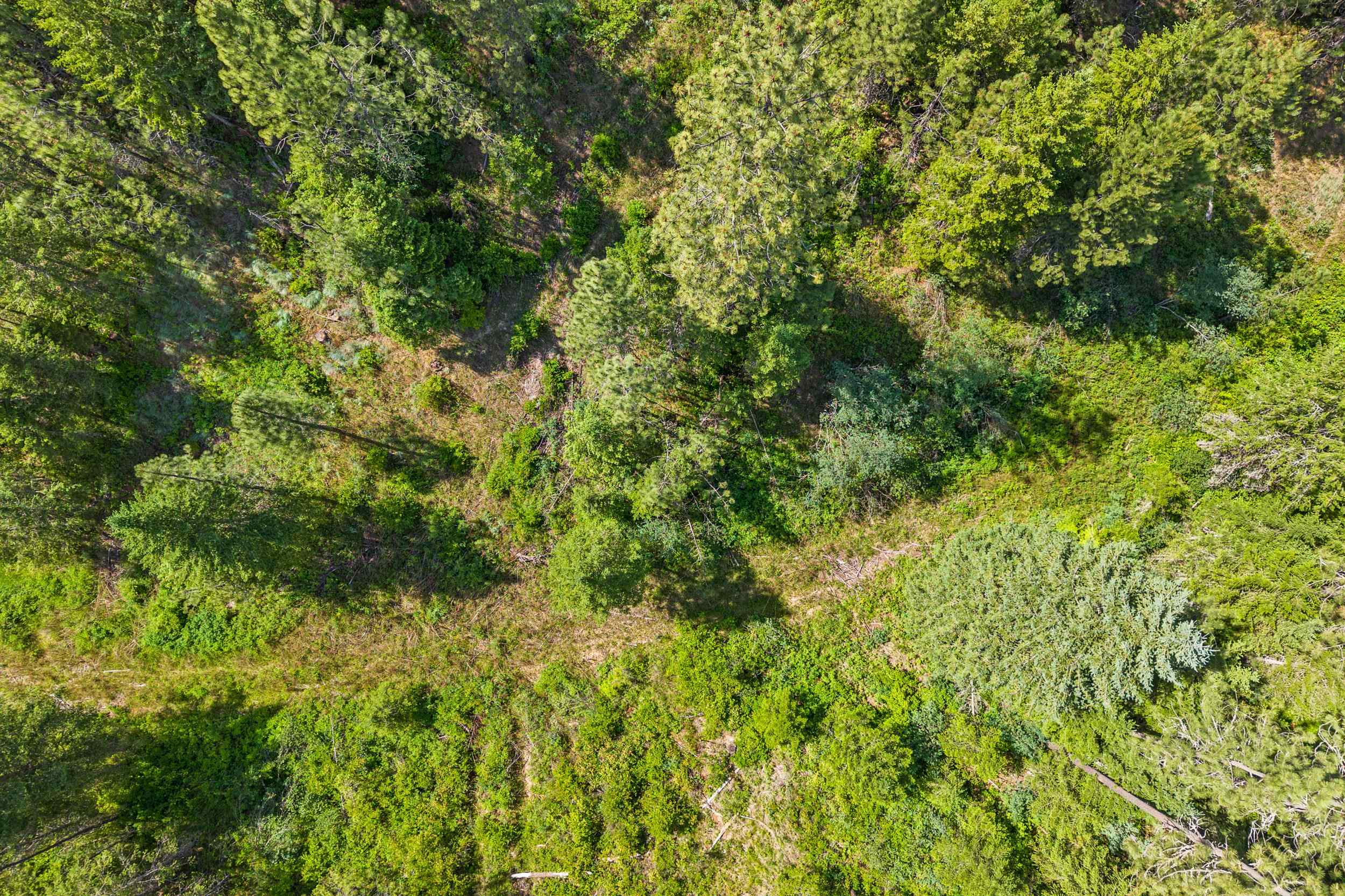5491 Sailor Rd - Photo 6