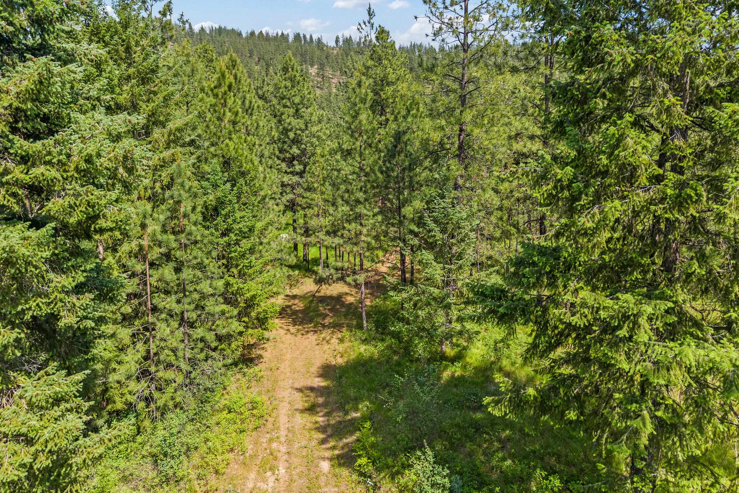 5491 Sailor Rd - Photo 7
