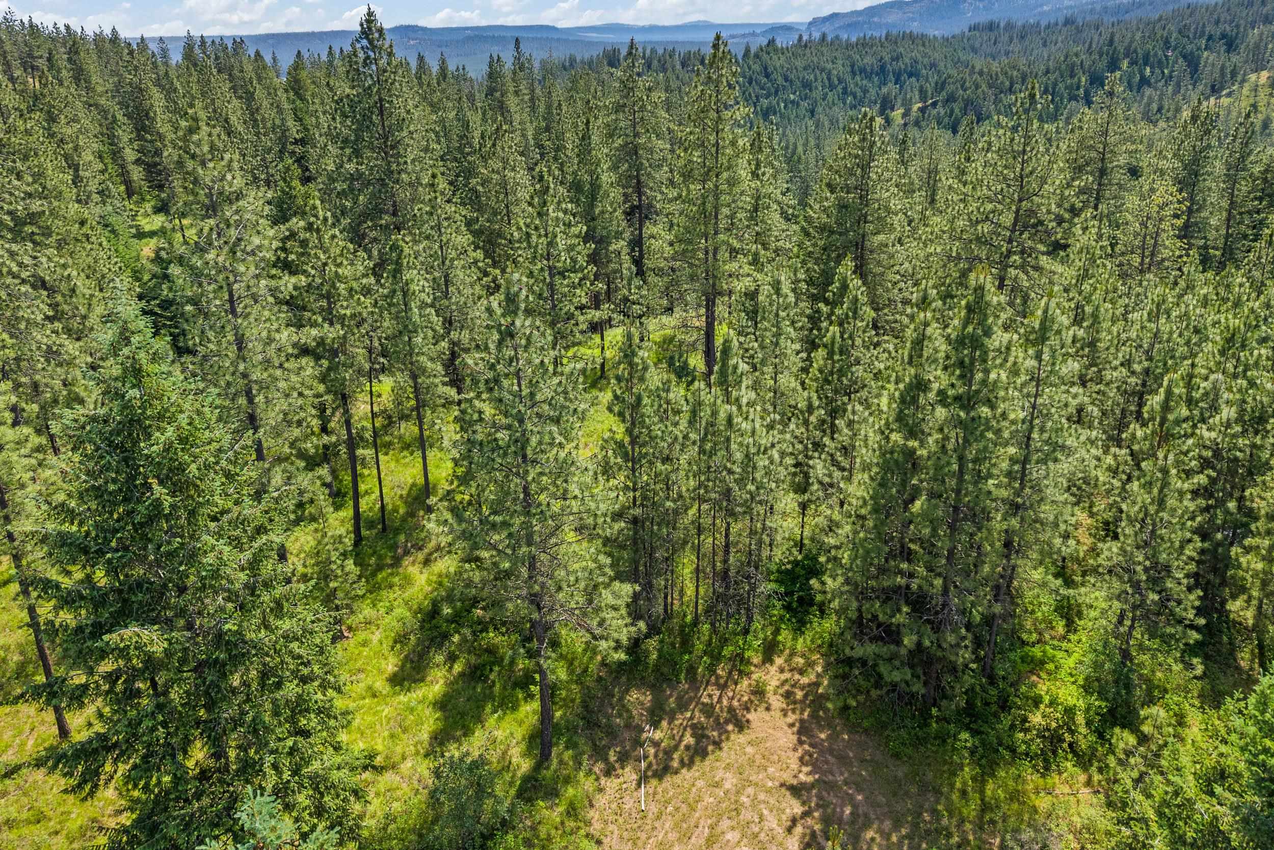 5491 Sailor Rd - Photo 8