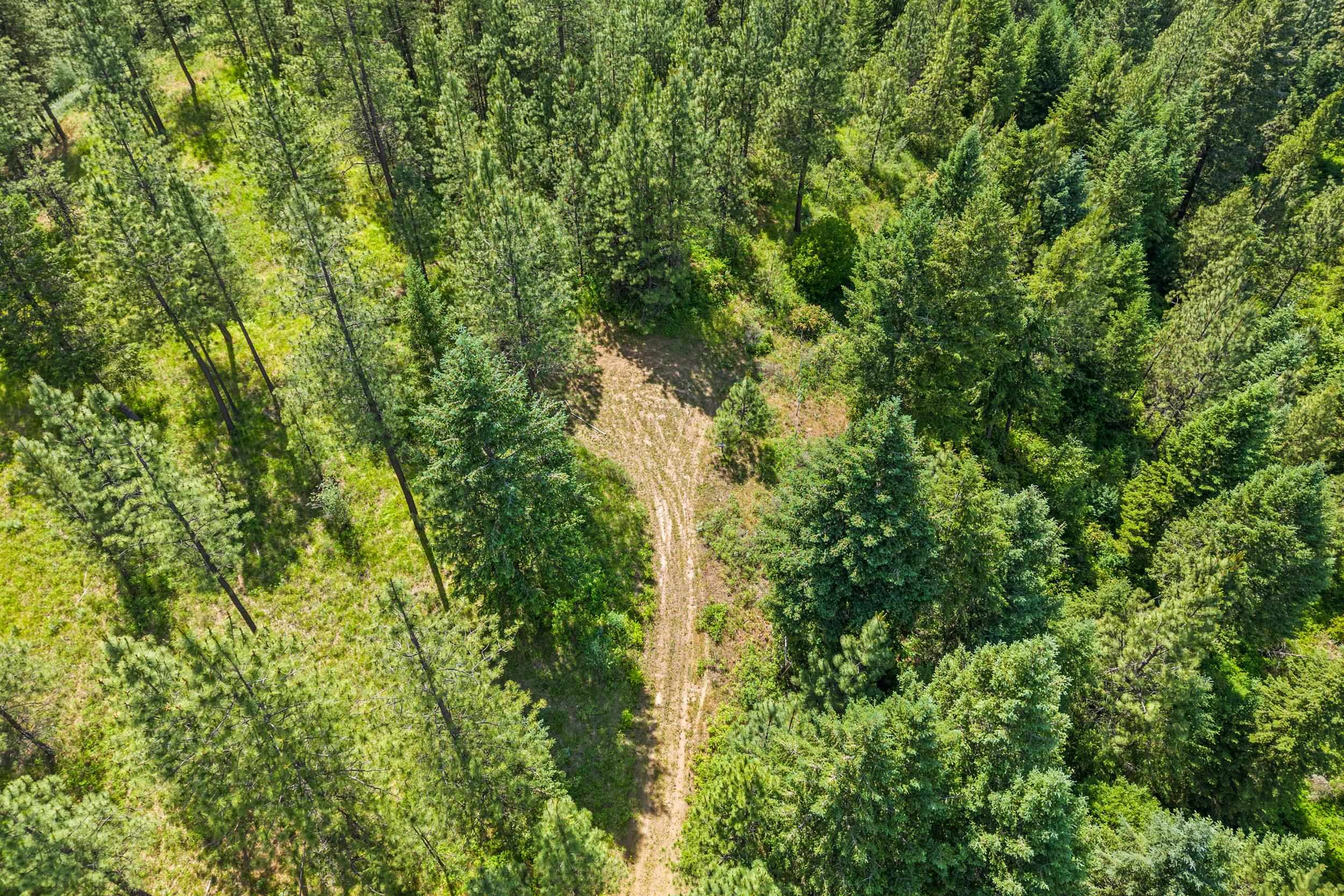 5491 Sailor Rd - Photo 9