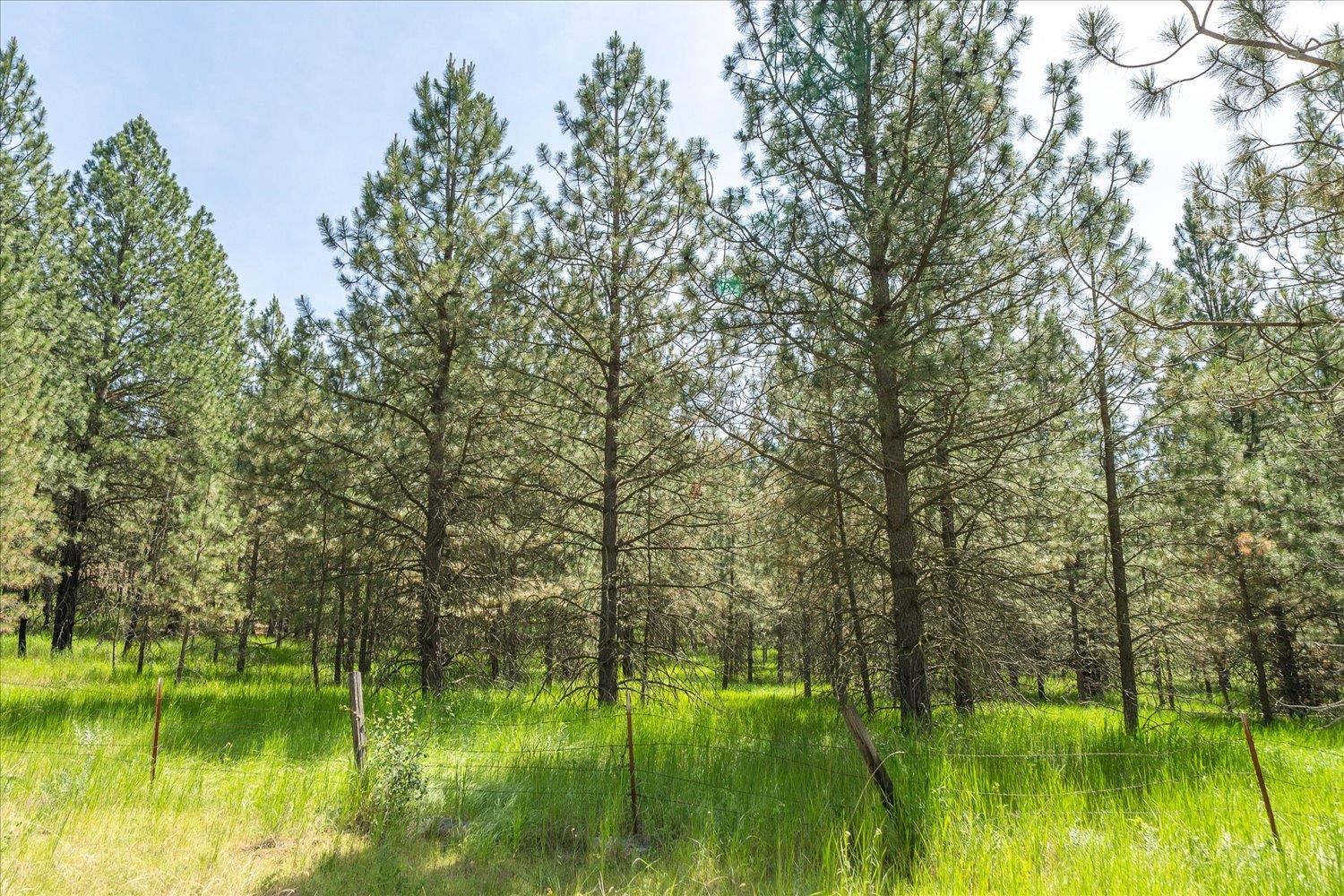 2806 S PARK Rd - Photo 37