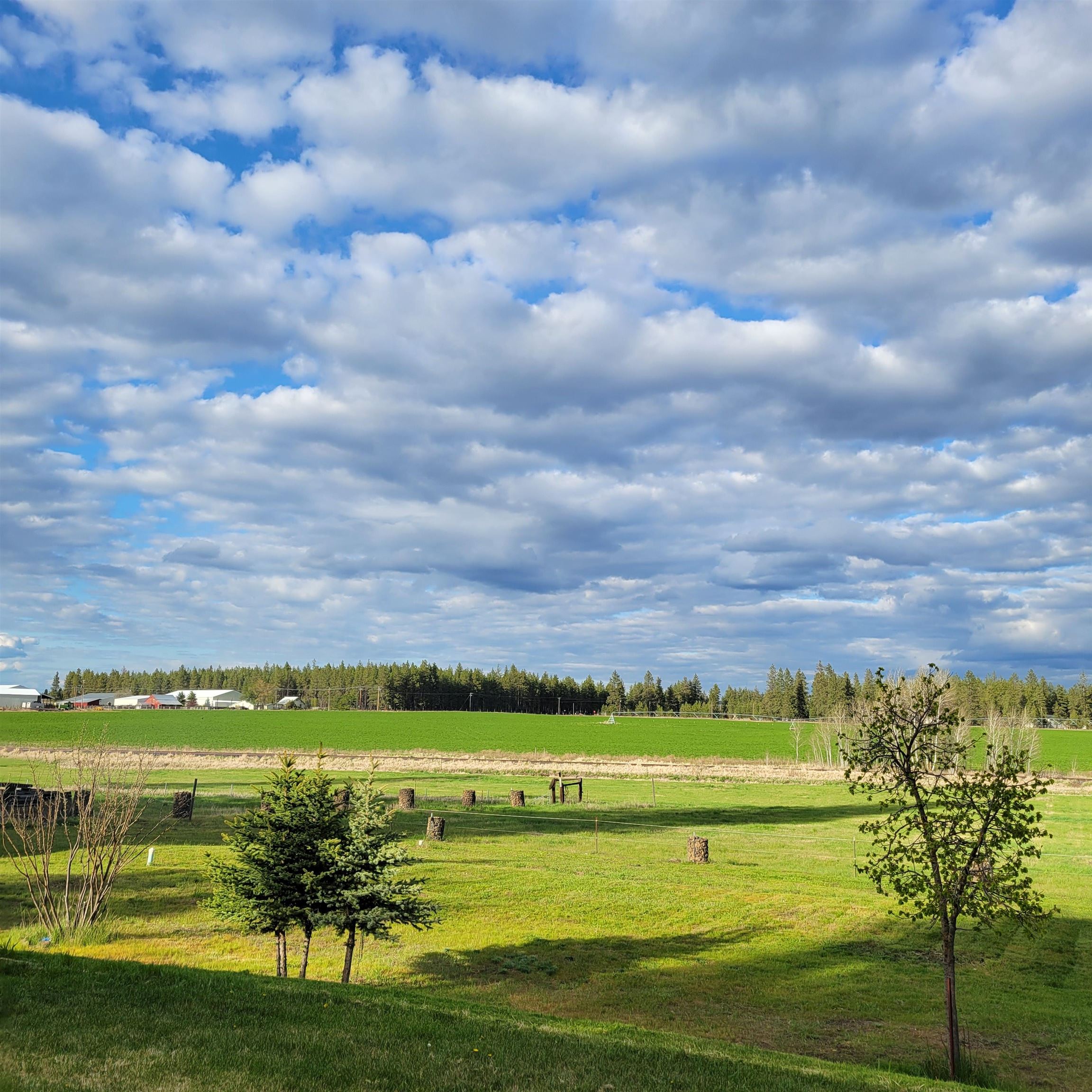15515 S Curtis Rd - Photo 31