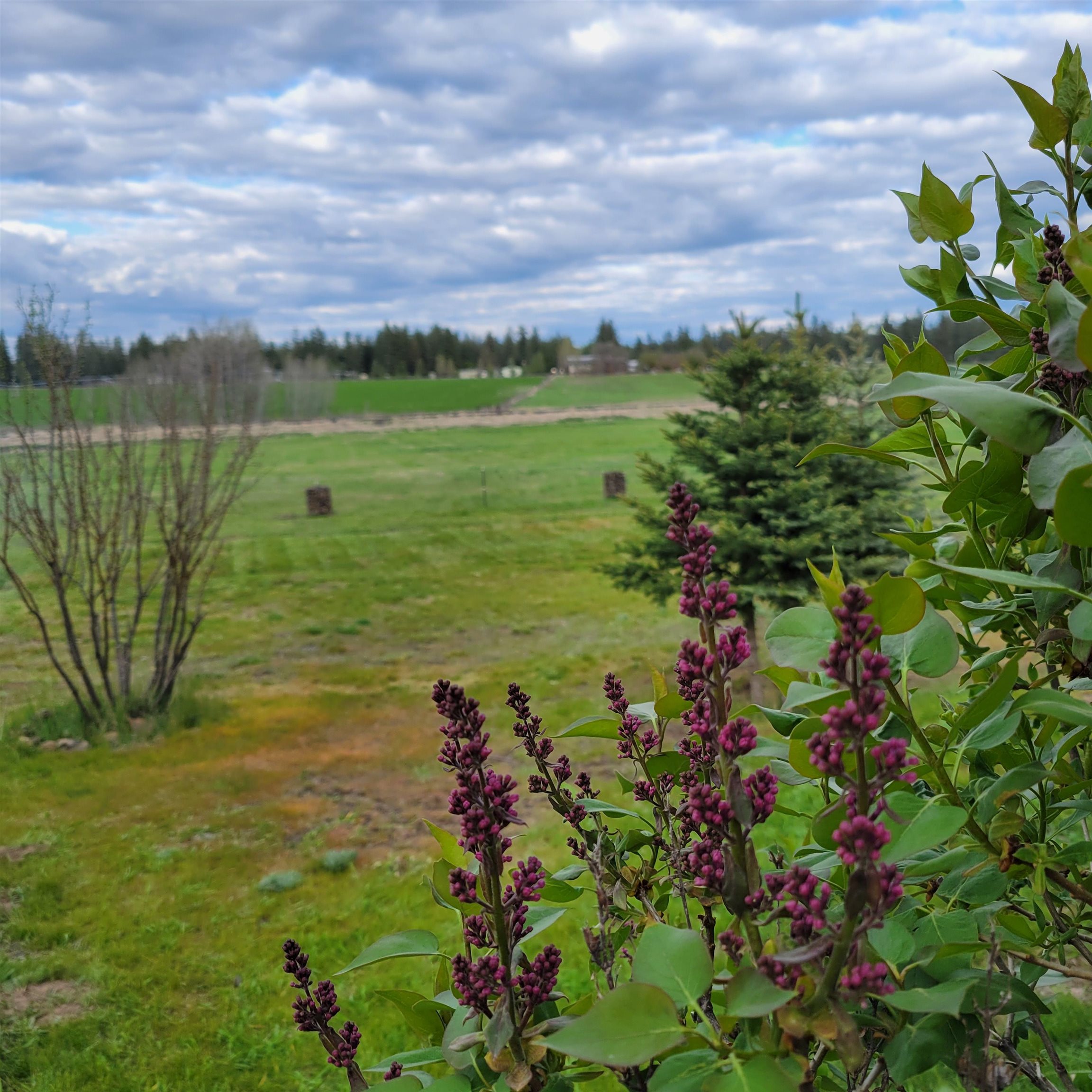 15515 S Curtis Rd - Photo 33