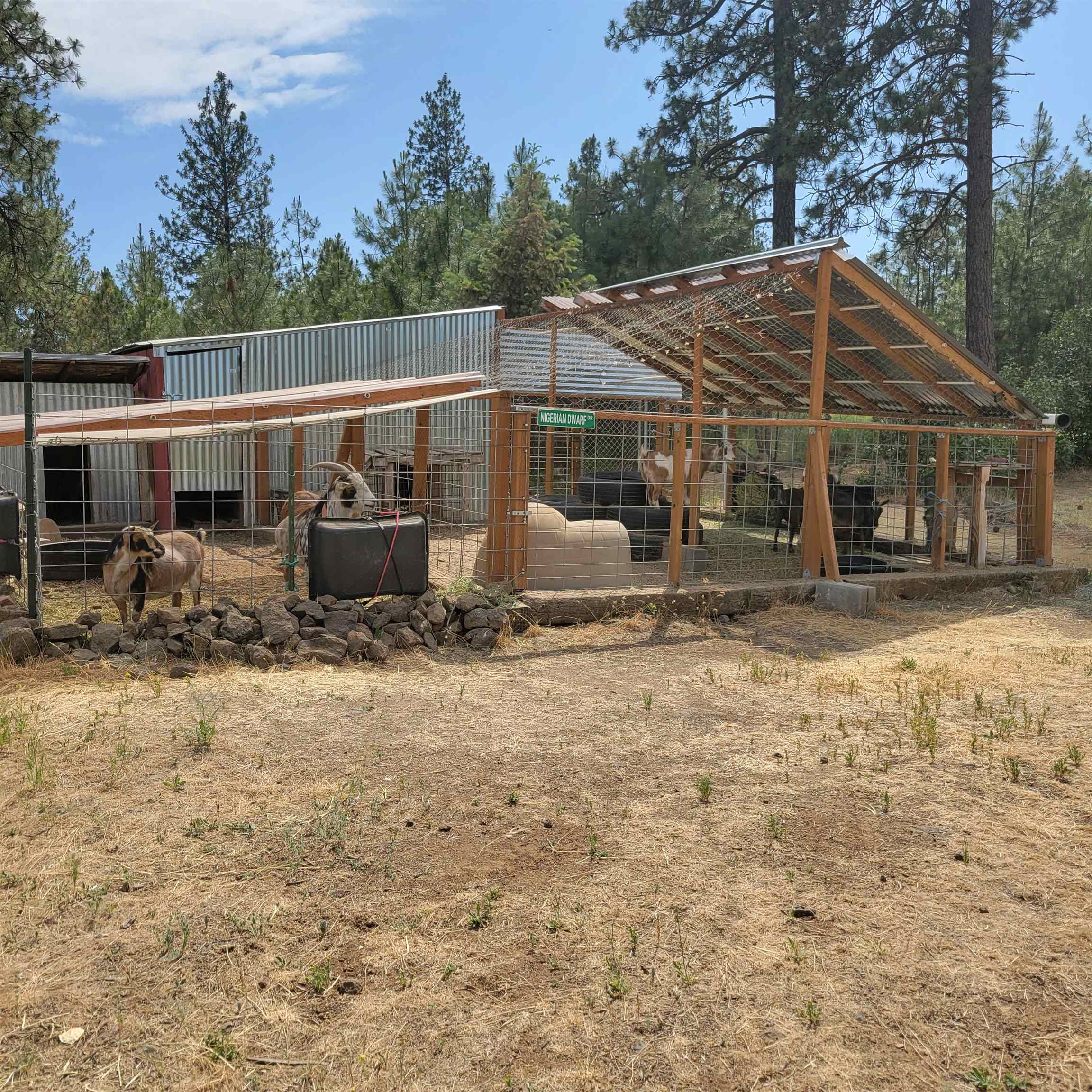 15515 S Curtis Rd - Photo 35
