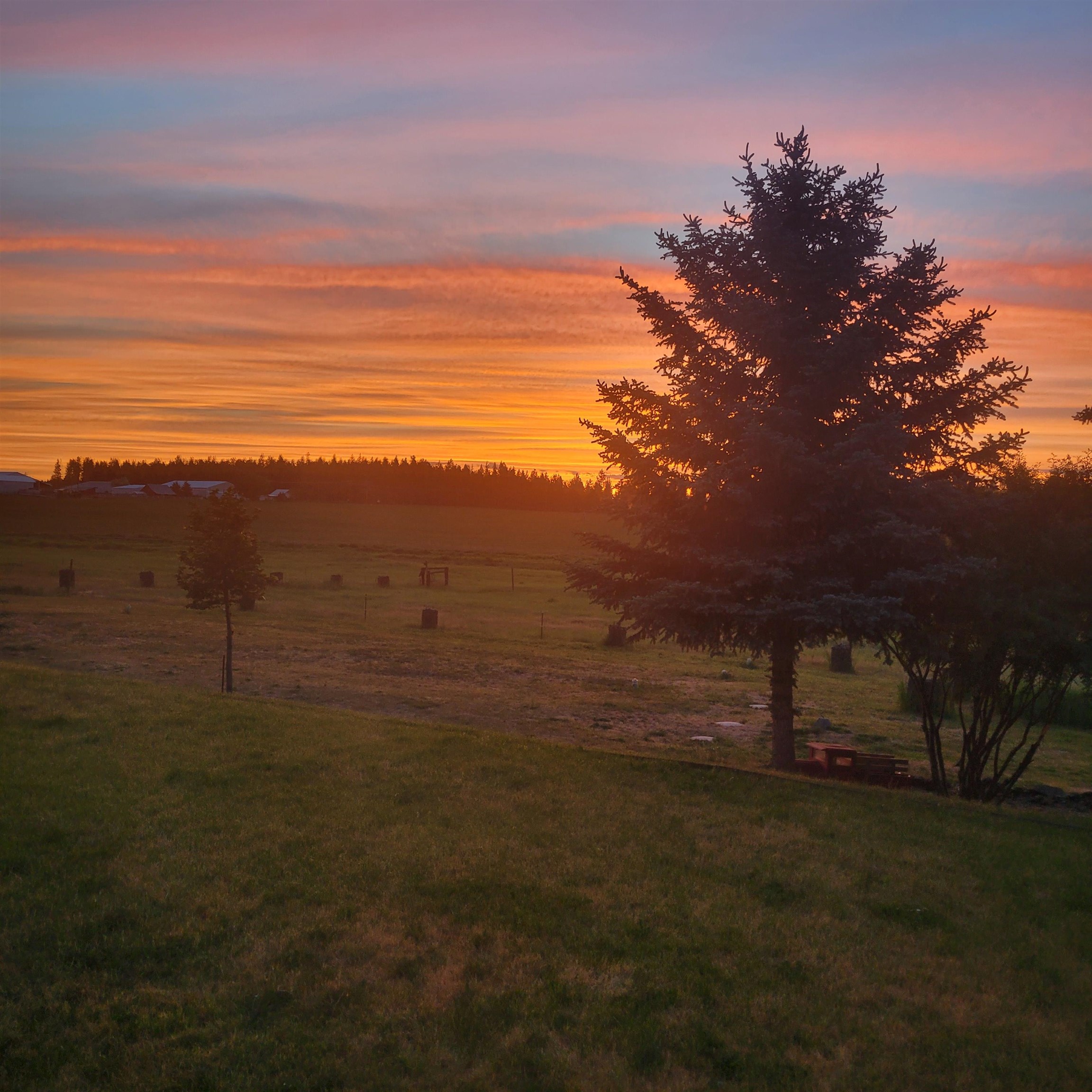 15515 S Curtis Rd - Photo 38
