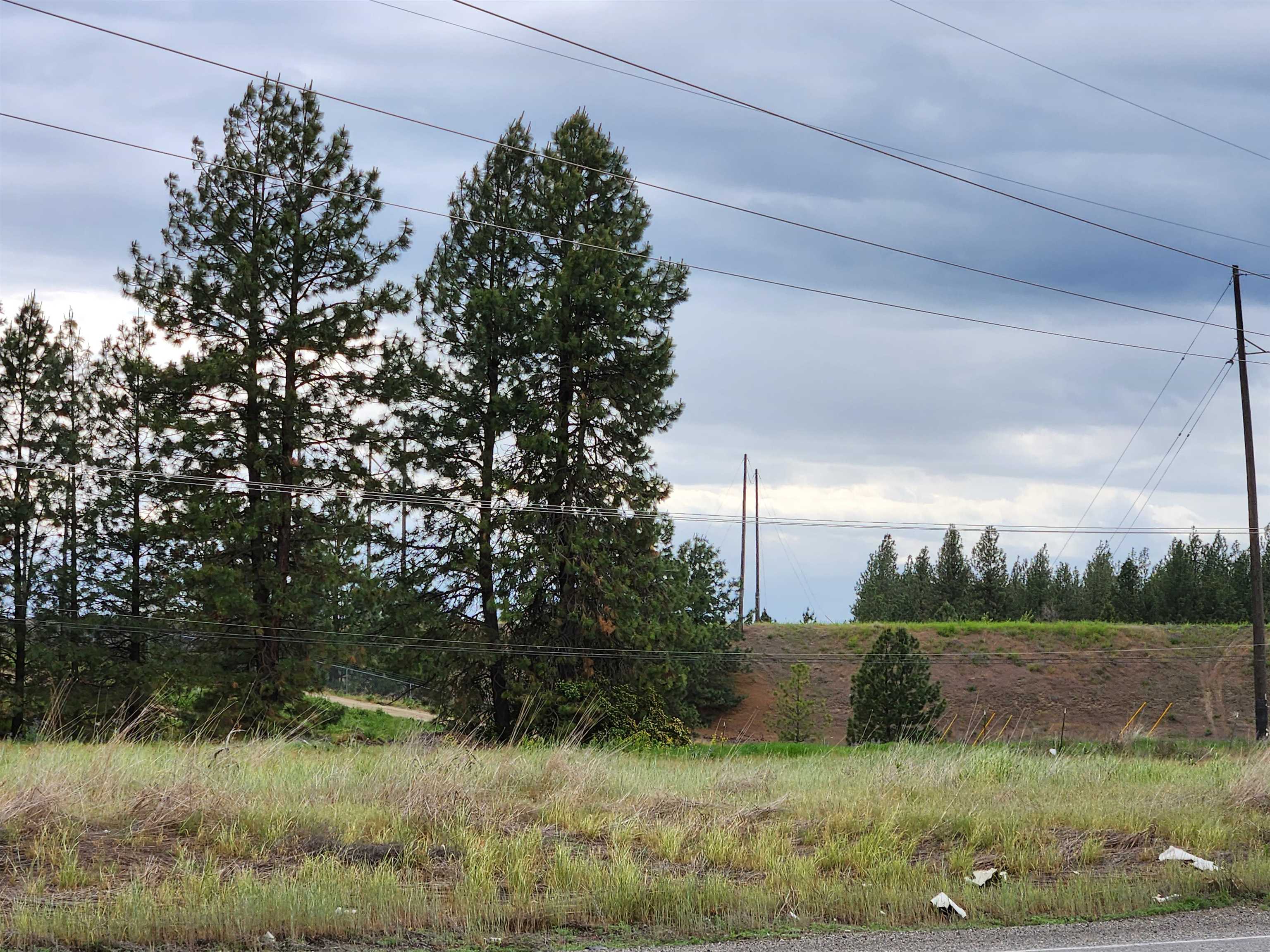 8817 N Market St - Photo 7