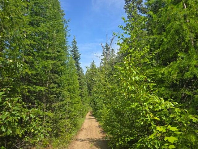 37XX Red Marble Rd - Photo 11