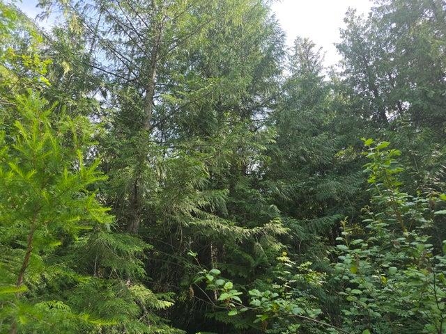 37XX Red Marble Rd - Photo 12