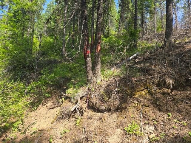 37XX Red Marble Rd - Photo 17