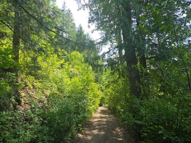 37XX Red Marble Rd - Photo 6