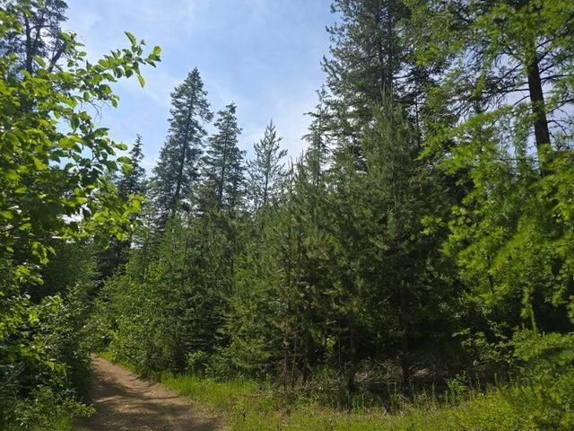 37XX Red Marble Rd - Photo 10