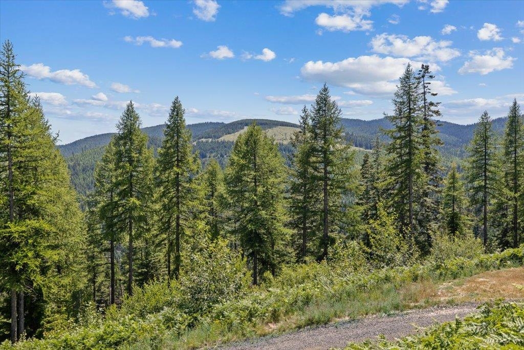 28600 N Mt. Spokane Park Dr - Photo 19