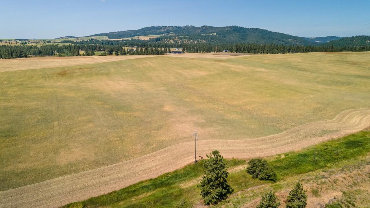 13507 E Gibbs Rd - Photo 12