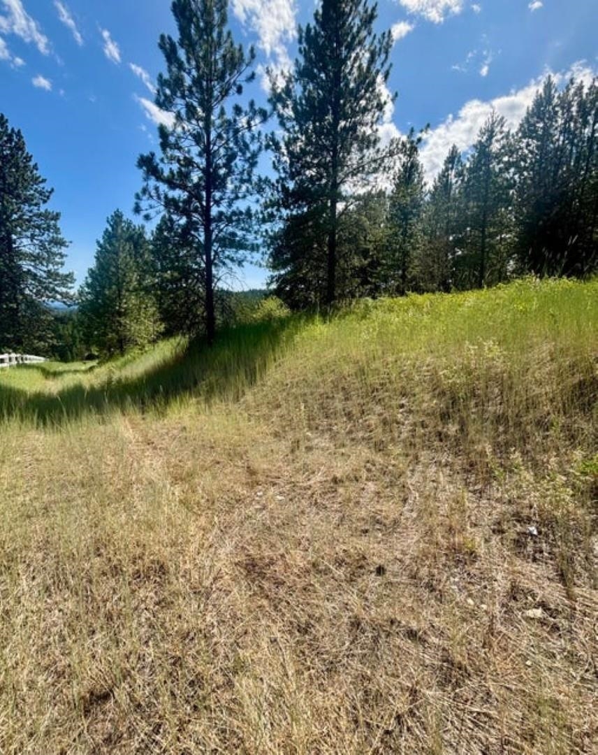 XXXX Hill Loop Rd - Photo 12