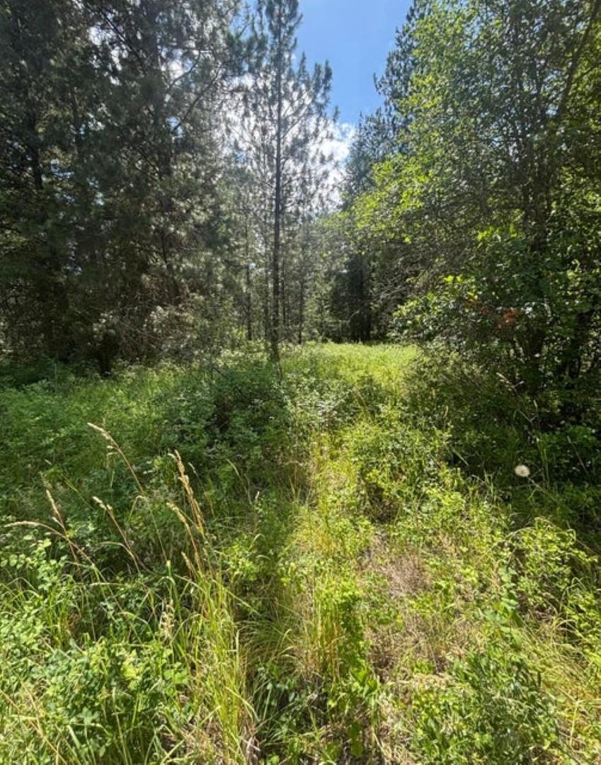 XXXX Hill Loop Rd - Photo 13